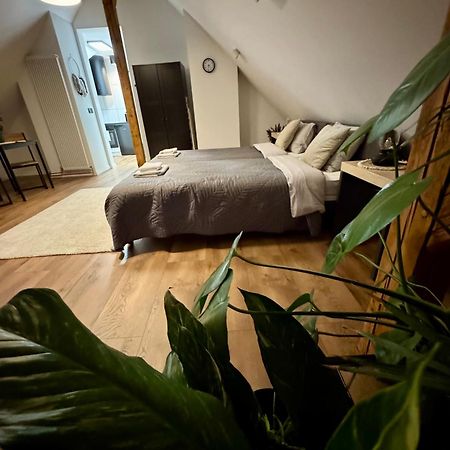 Apartamenty Astor - Ksiezycowy Bad Salzbrunn Exterior foto