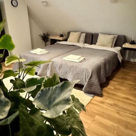 Apartamenty Astor - Ksiezycowy Bad Salzbrunn Exterior foto