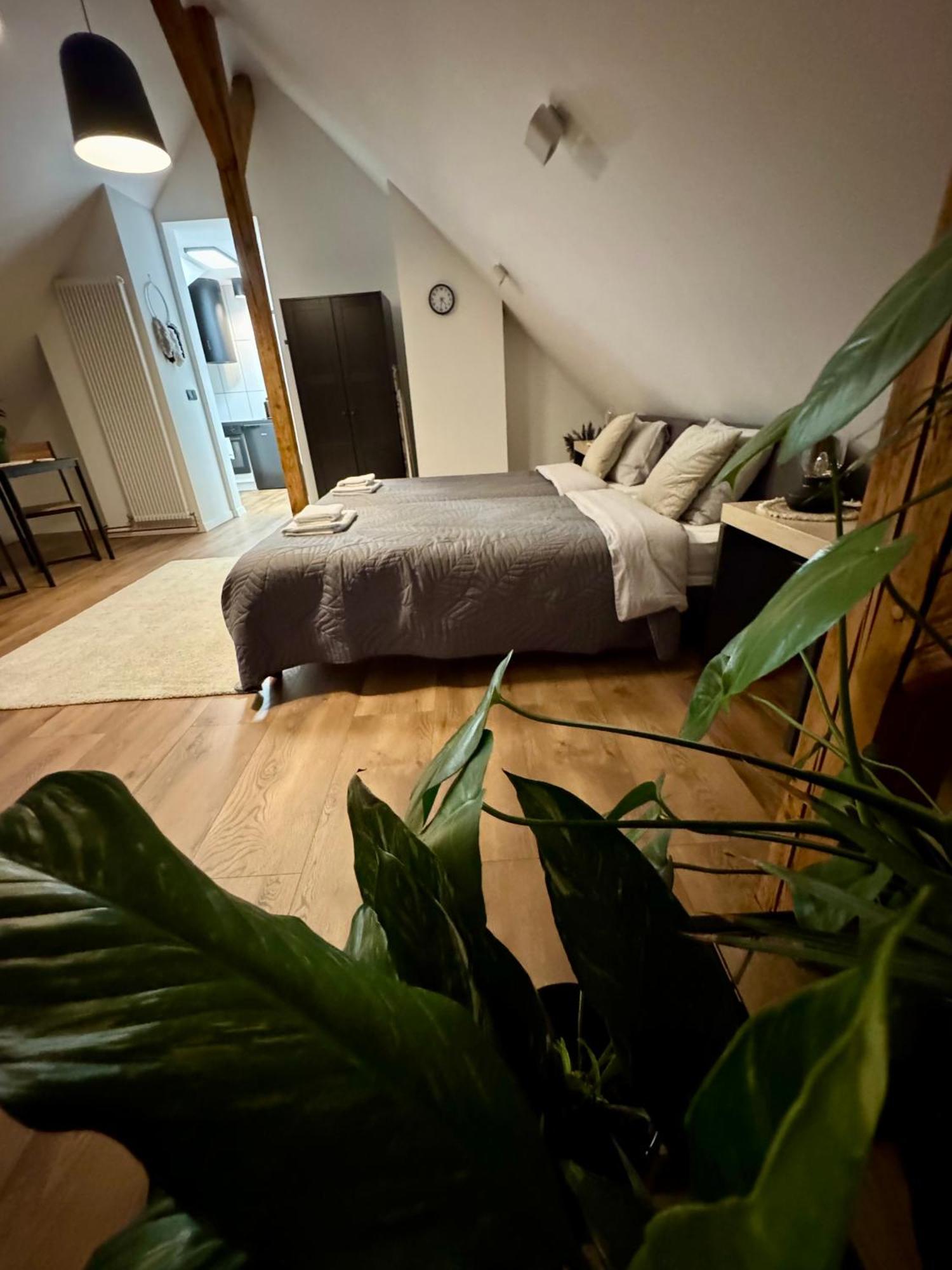 Apartamenty Astor - Ksiezycowy Bad Salzbrunn Exterior foto