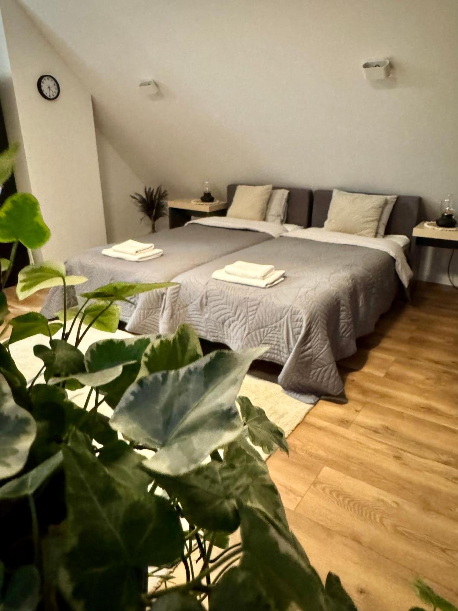 Apartamenty Astor - Ksiezycowy Bad Salzbrunn Exterior foto